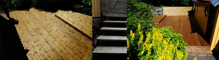 zlecenia\TARAS 1\TARAS1 ikonka.jpg